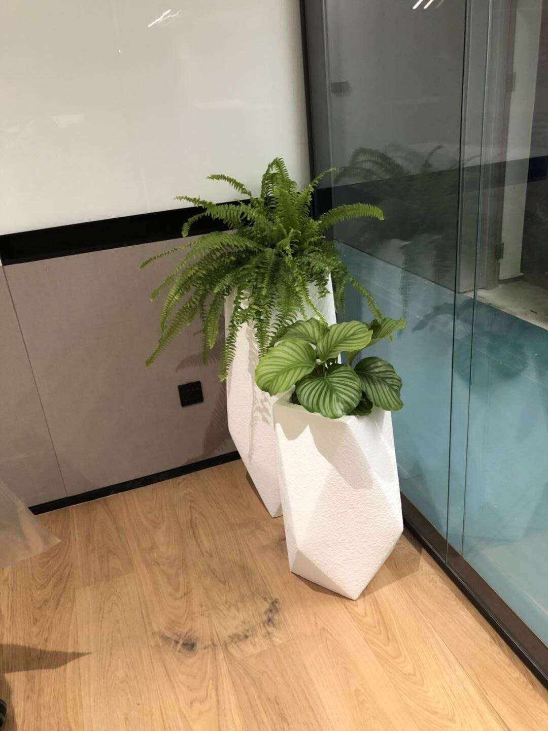 组合植物