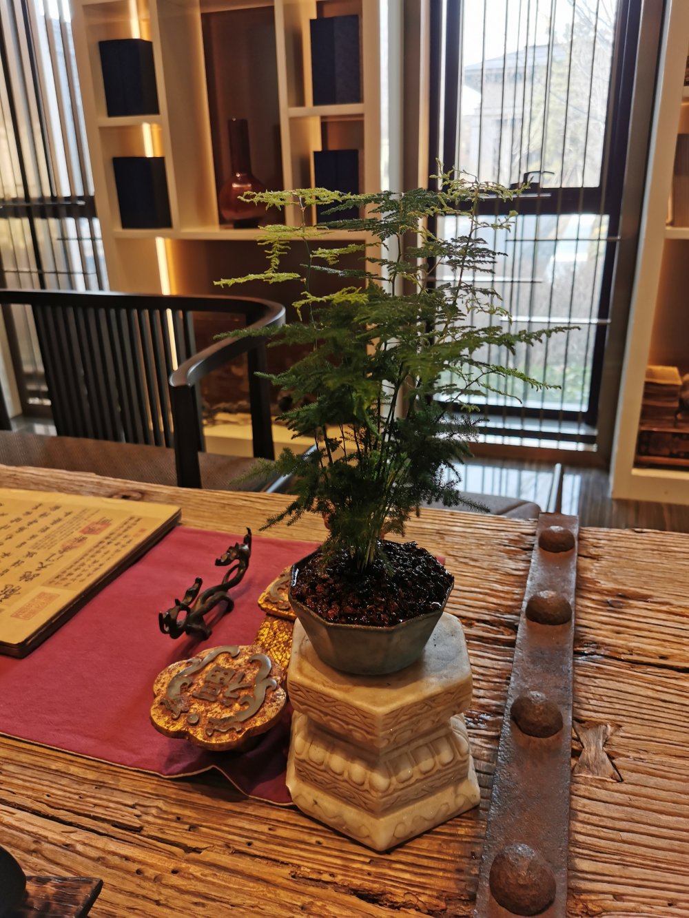 酒店植物租摆案例